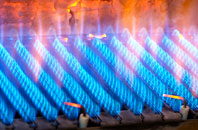 Paulton gas fired boilers